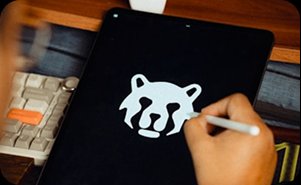 Logo Design & DNN Development